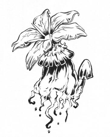 Philanemo Mushroom